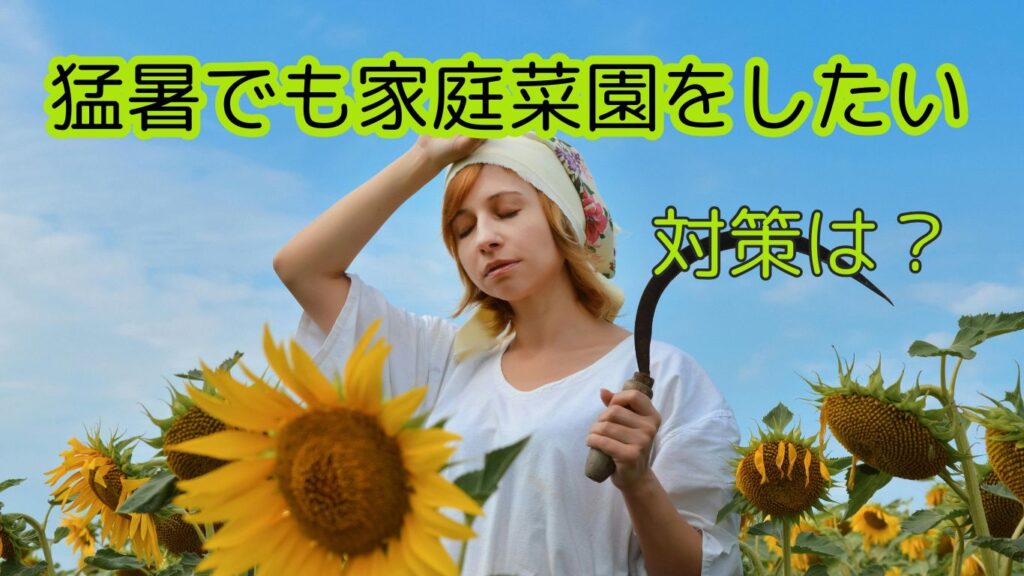 猛暑でも家庭菜園をしたい